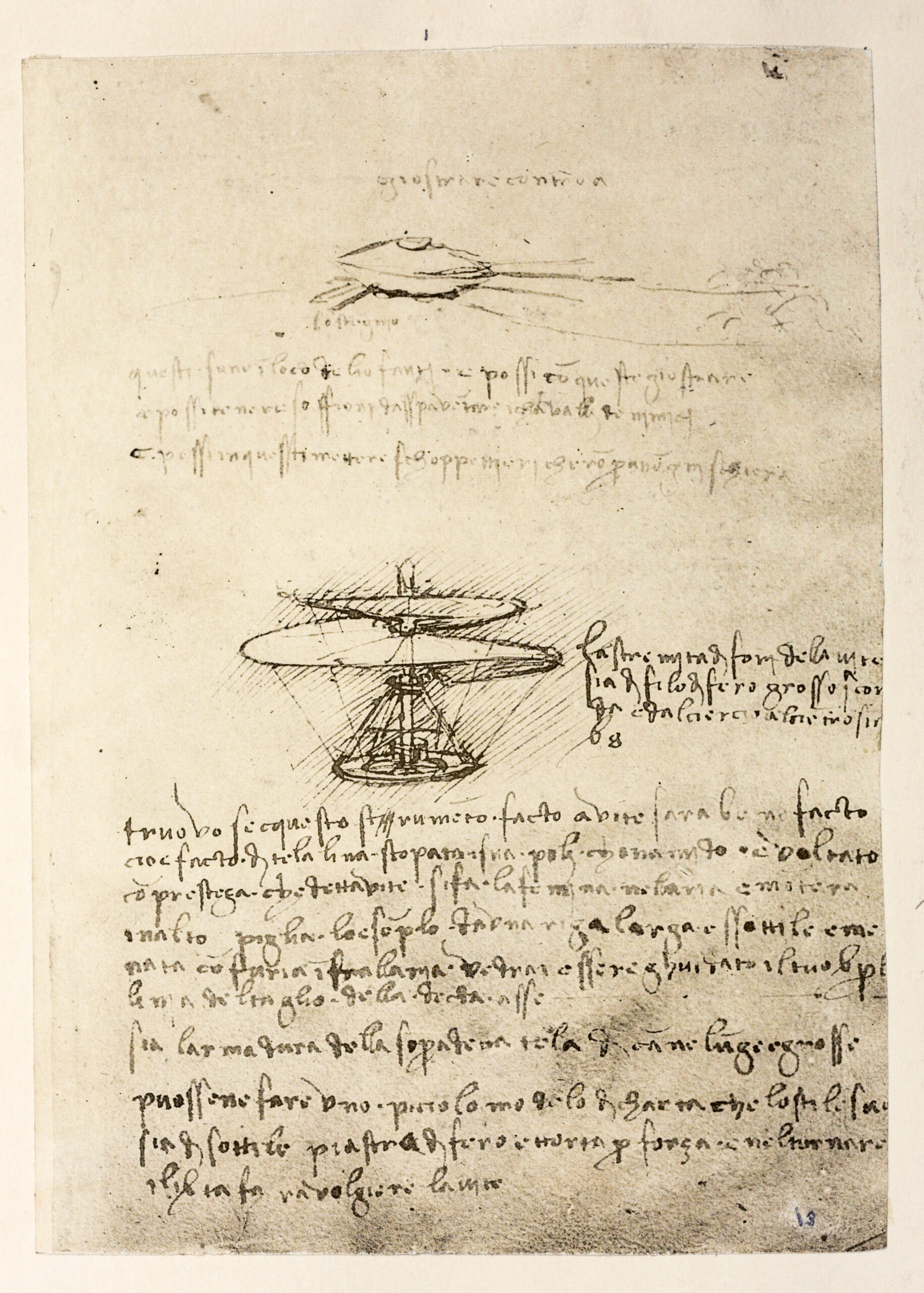 Leonardo drawing